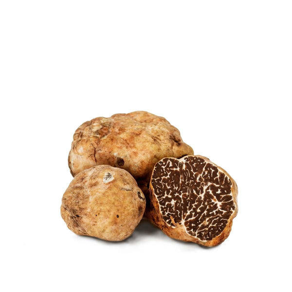 BIANCHETTO truffle